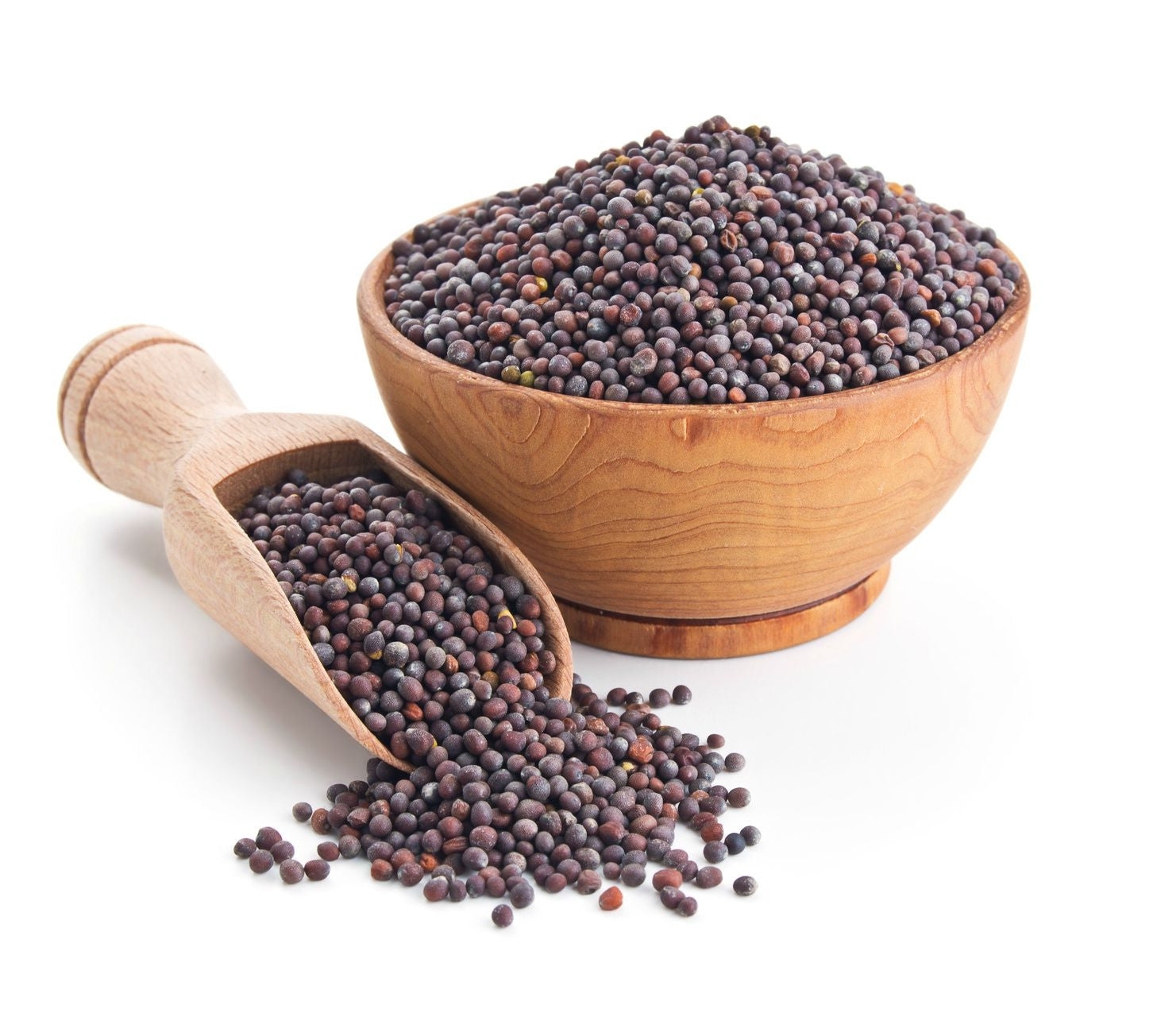 Mustard Seeds - Organic - Black (Sri Lanka) Per Oz