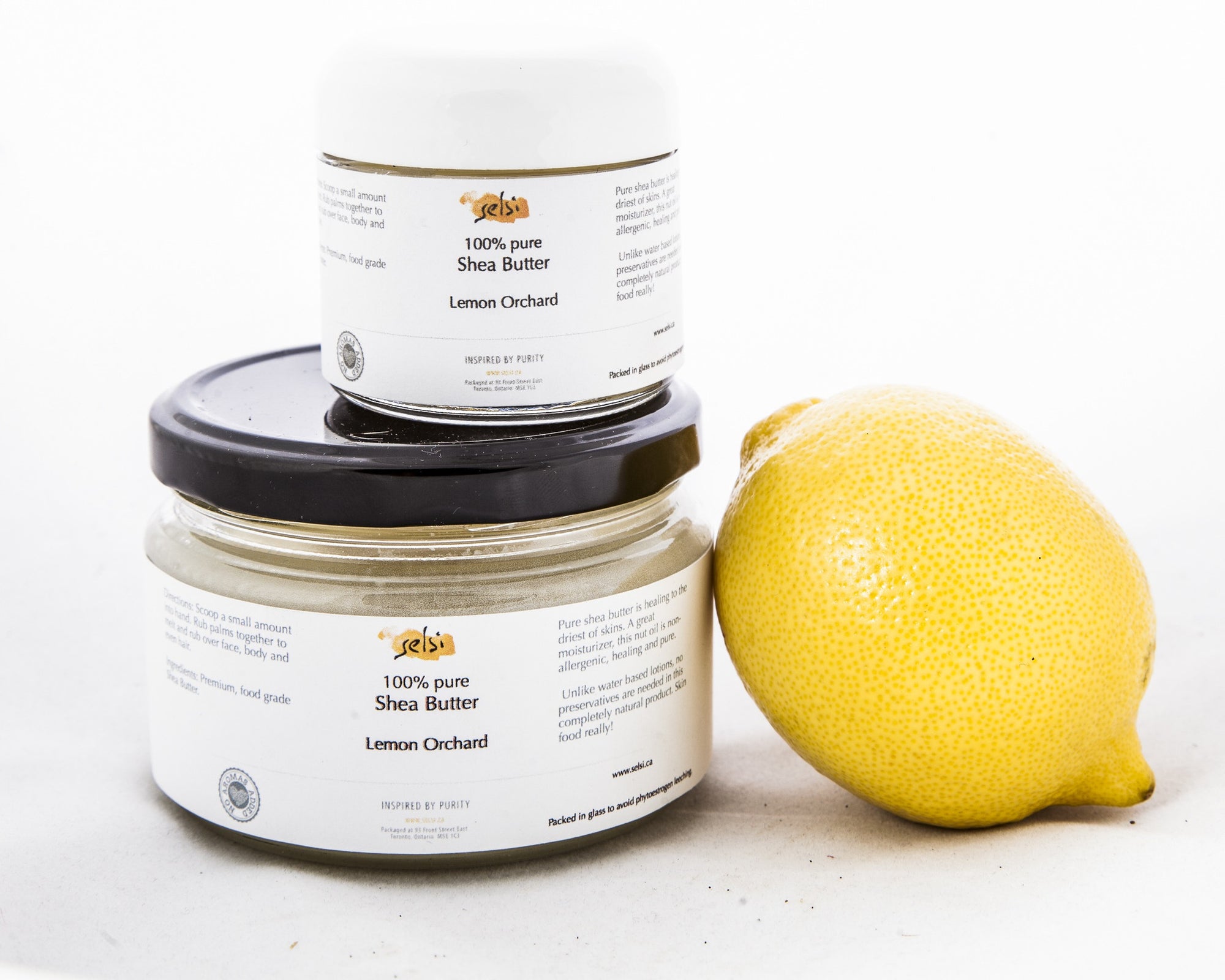 Thera Shea - Lemon Orchard